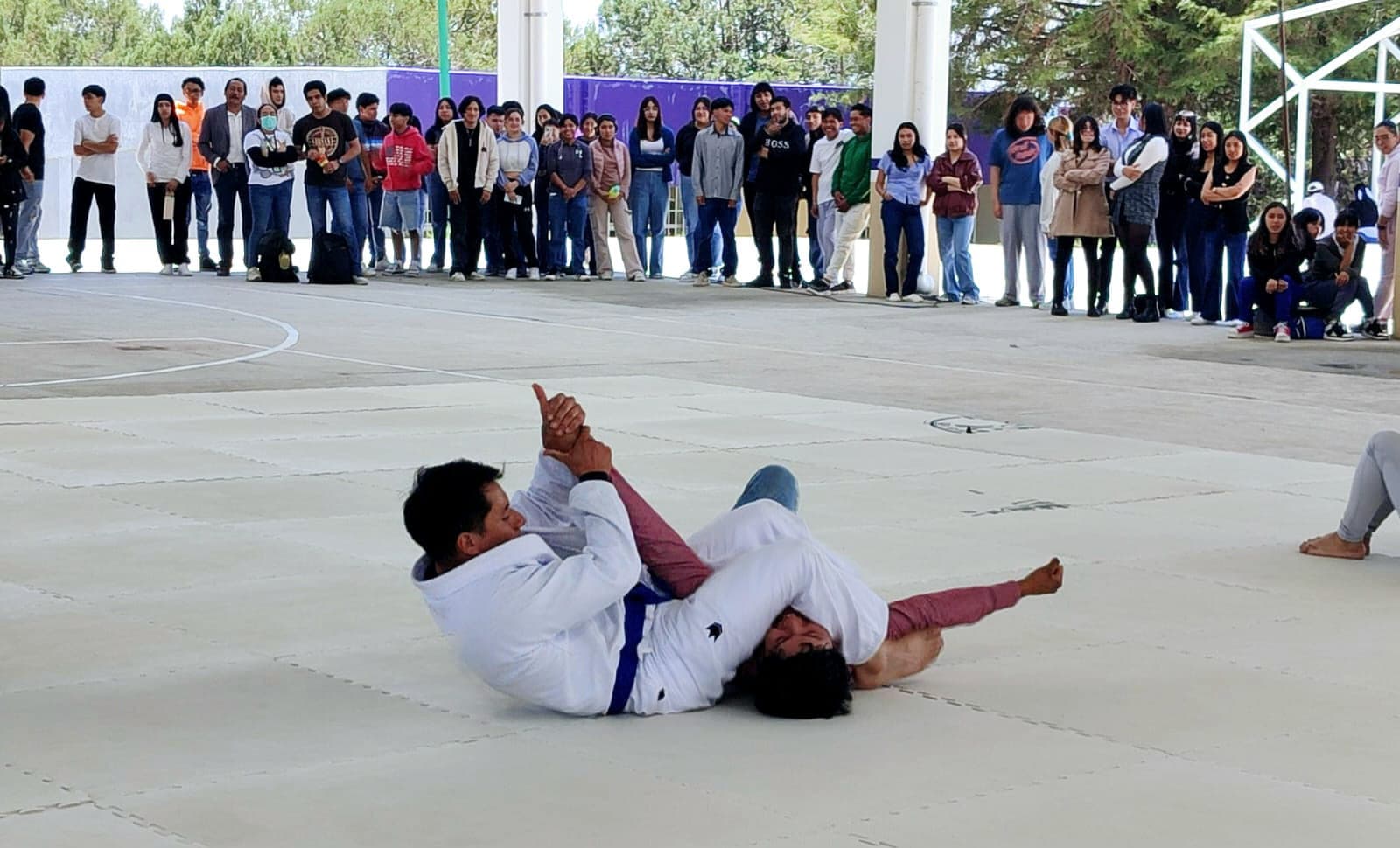 Imagen de la galería de JSBJJ MX